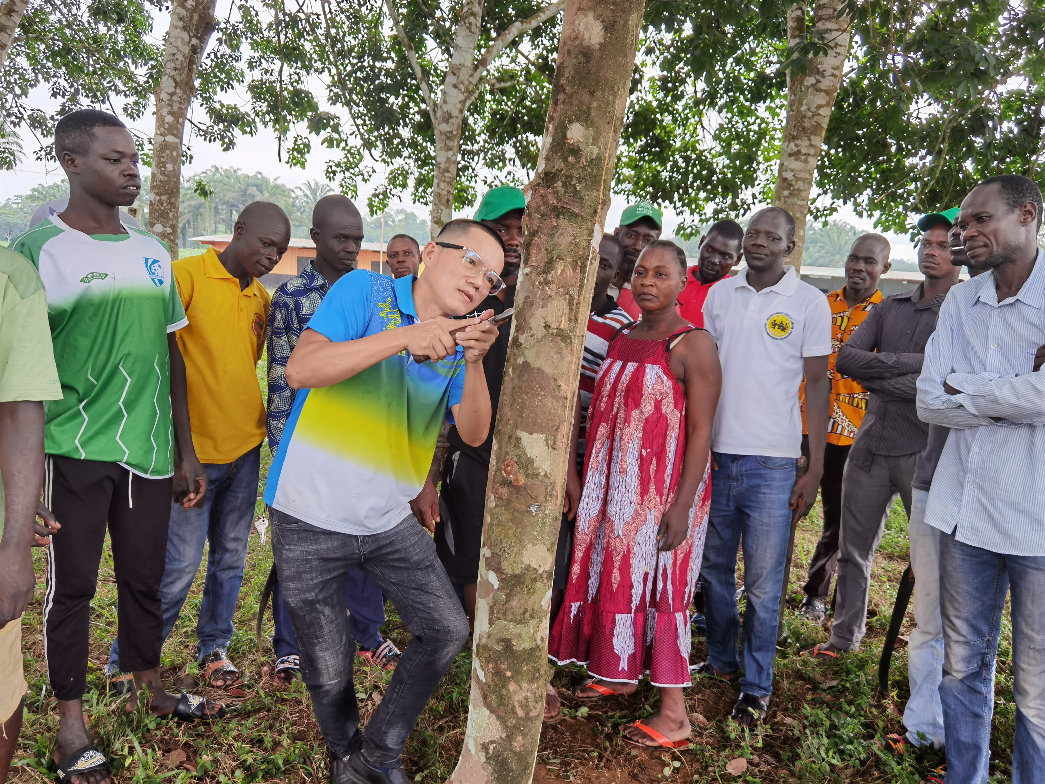 1721178966230036117.jpg 1721178966230036117.jpg