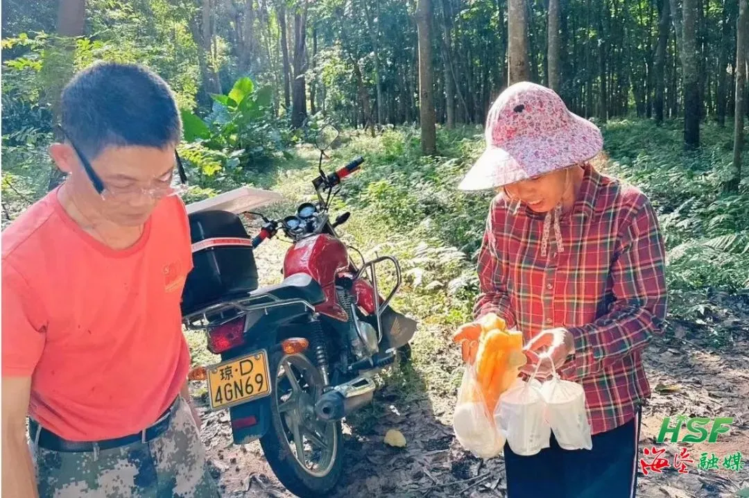 1742266447005020667.jpg 1742266447005020667.jpg