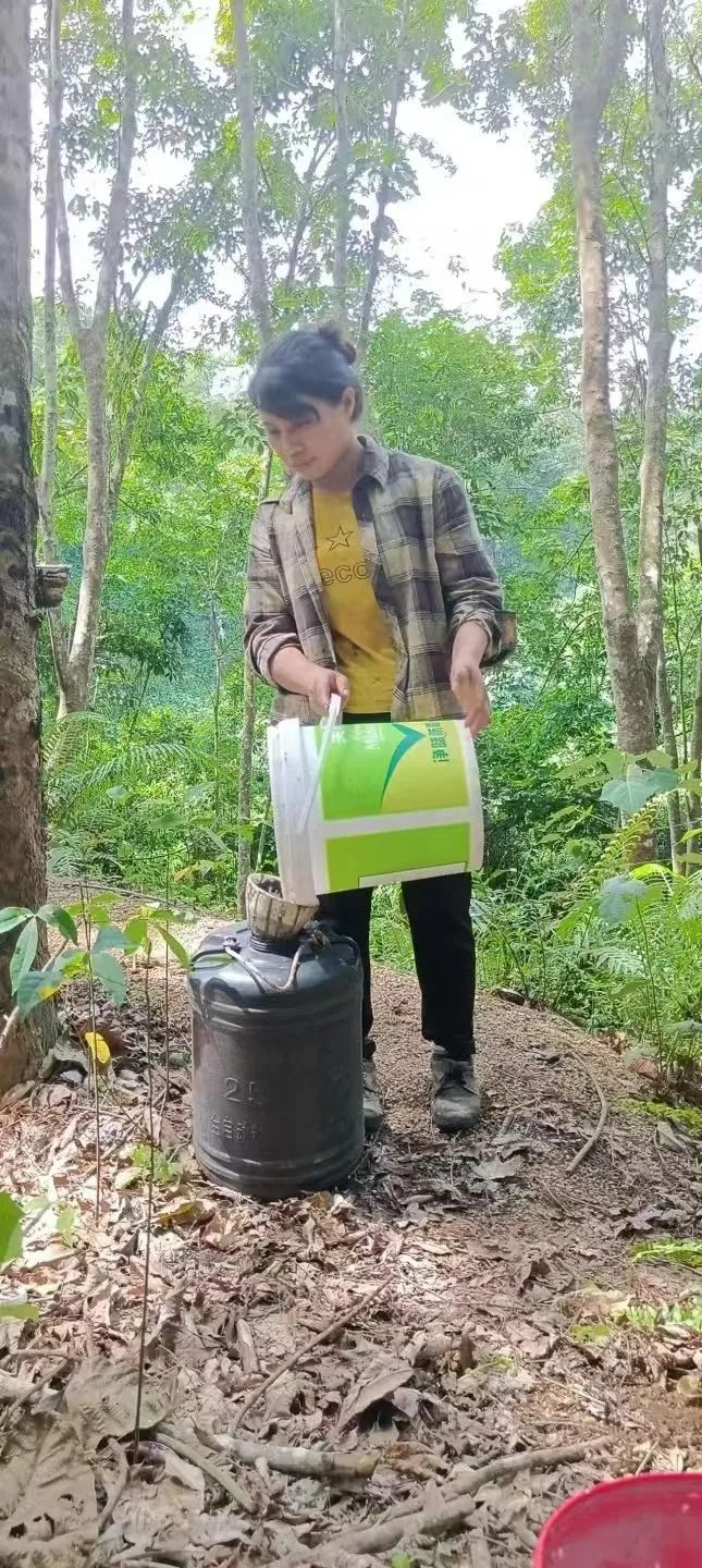 1747638539411008887.jpg 1747638539411008887.jpg