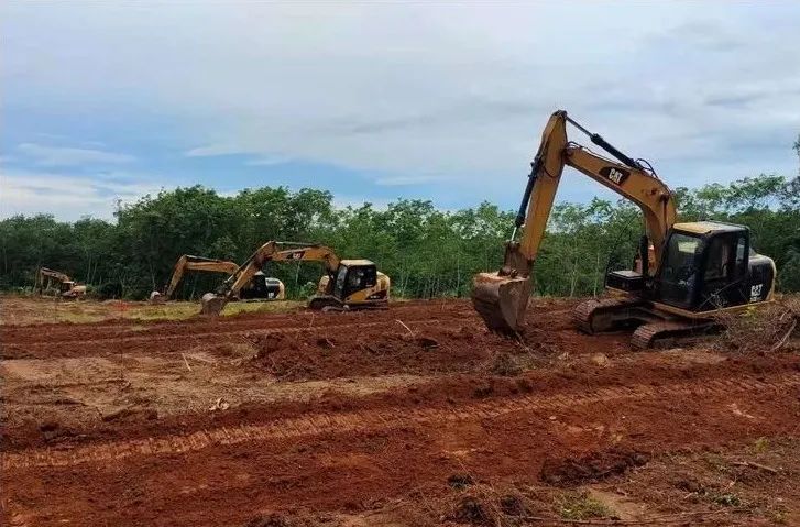 LETOU¹ú¼ÊÃ×À¼¡¤(ÖйúÇø)¹Ù·½ÍøÕ¾