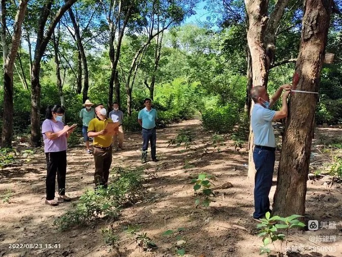 LETOU¹ú¼ÊÃ×À¼¡¤(ÖйúÇø)¹Ù·½ÍøÕ¾