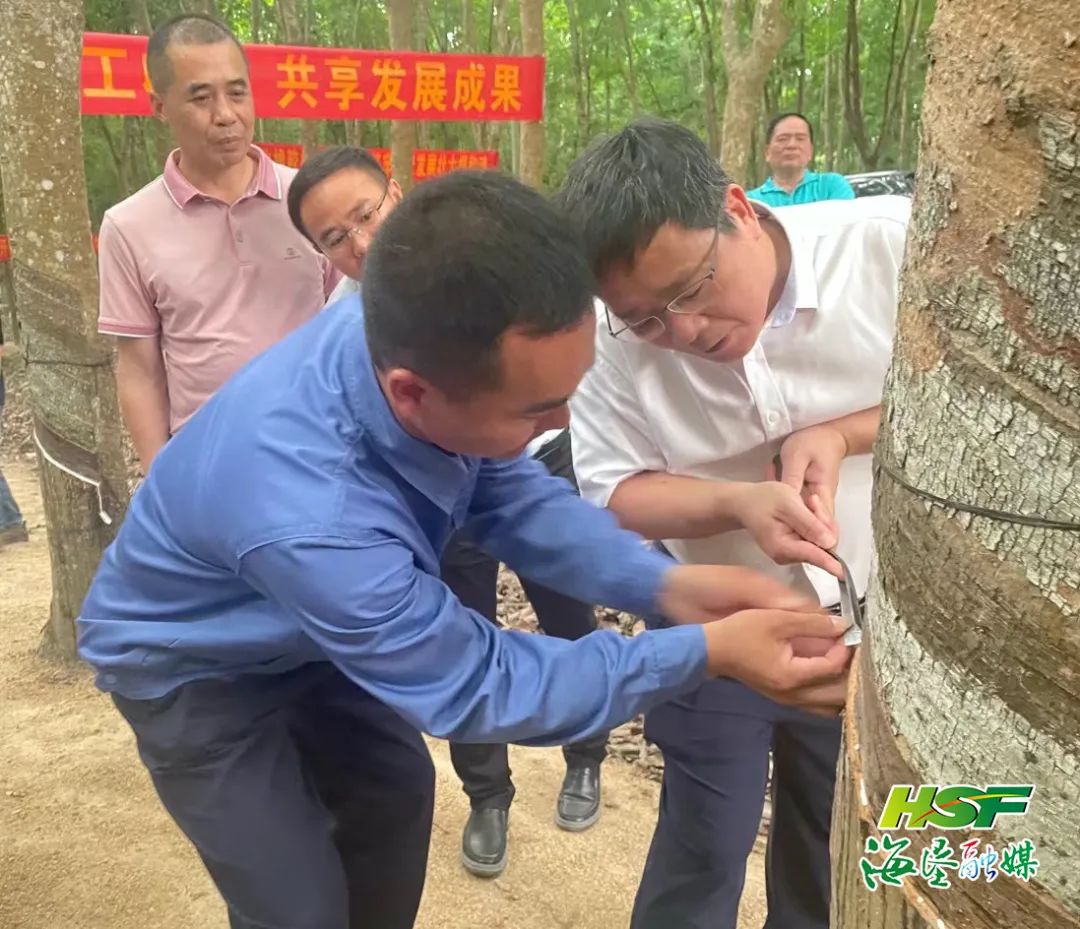 LETOU¹ú¼ÊÃ×À¼¡¤(ÖйúÇø)¹Ù·½ÍøÕ¾