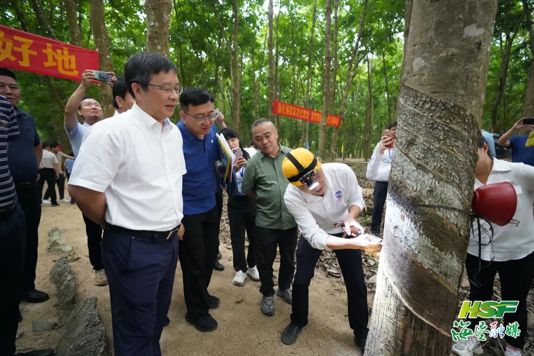 LETOU¹ú¼ÊÃ×À¼¡¤(ÖйúÇø)¹Ù·½ÍøÕ¾