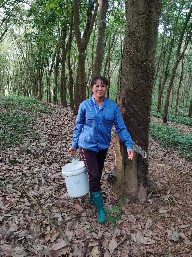 LETOU¹ú¼ÊÃ×À¼¡¤(ÖйúÇø)¹Ù·½ÍøÕ¾